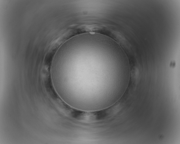 X0000112830327200908211223