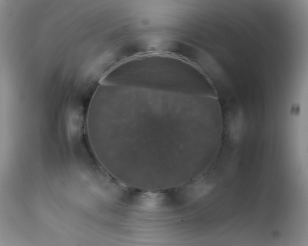 X0000112830328200908211223