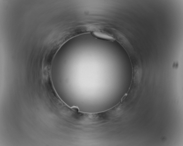 X0000112830329200908211222