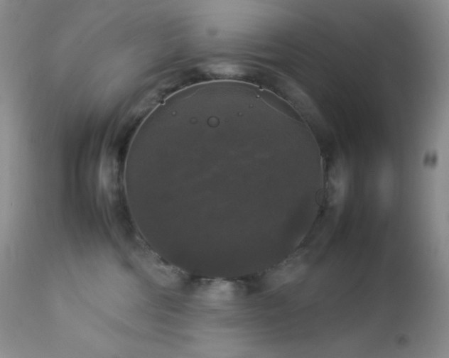 X0000112830330200908211222