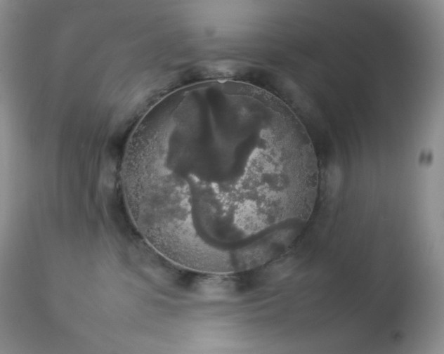 X0000112830331200908211222