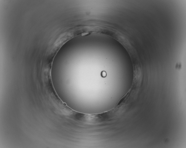 X0000112830333200908211222