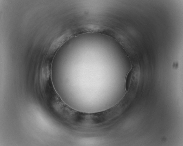 X0000112830334200908211222