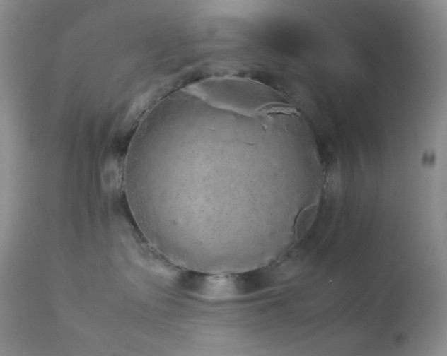 X0000112830335200908211222