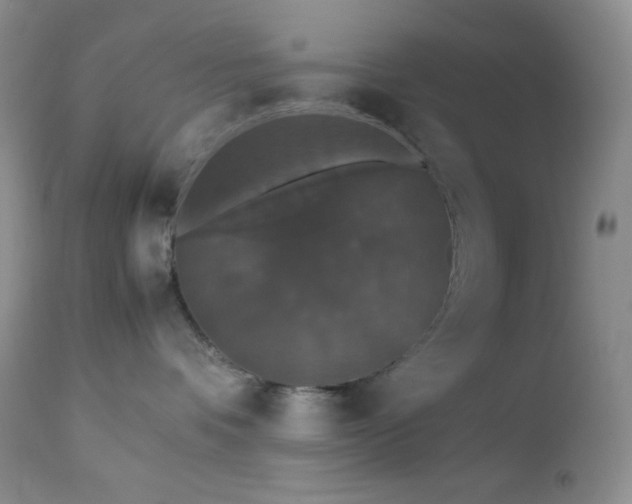 X0000112830336200908211222