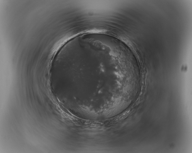 X0000112830337200908211222