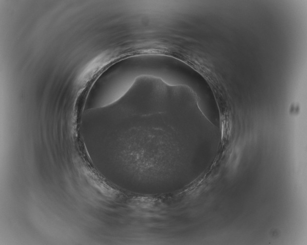 X0000112830339200908211222