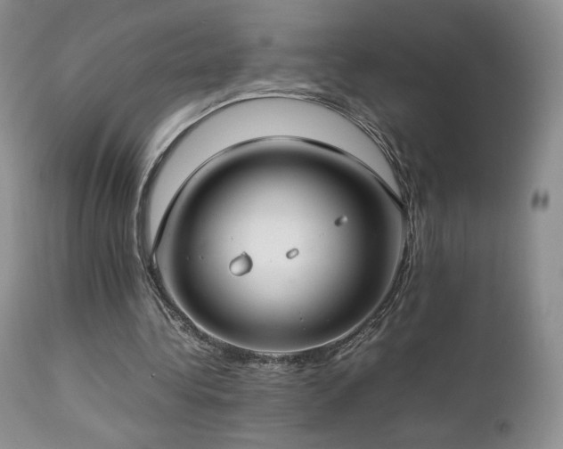 X0000112830340200908211222