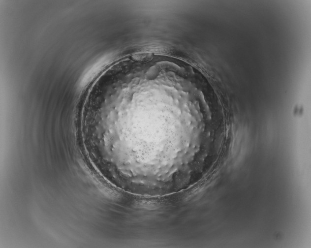 X0000112830341200908211222