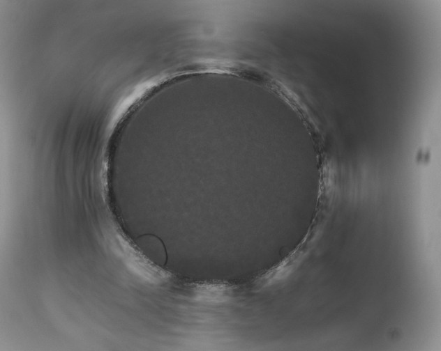 X0000112830342200908211222