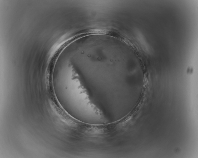 X0000112830343200908211222