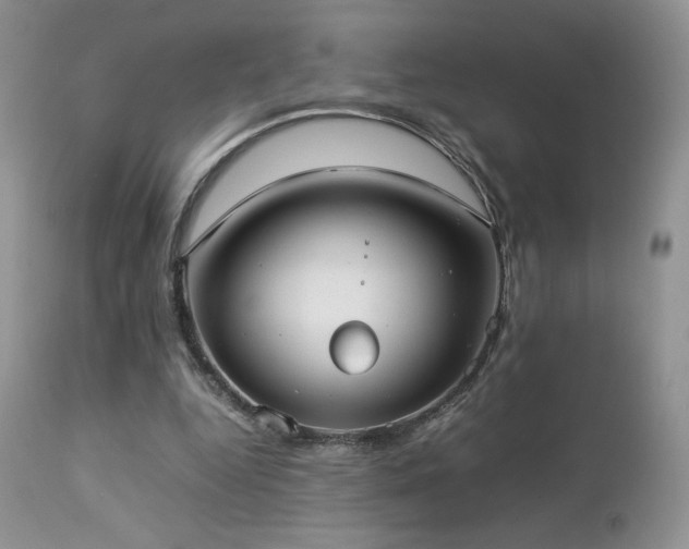 X0000112830344200908211222