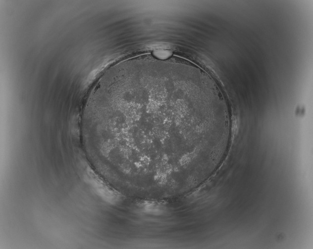 X0000112830345200908211222