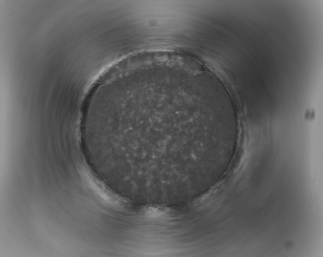 X0000112830346200908211222