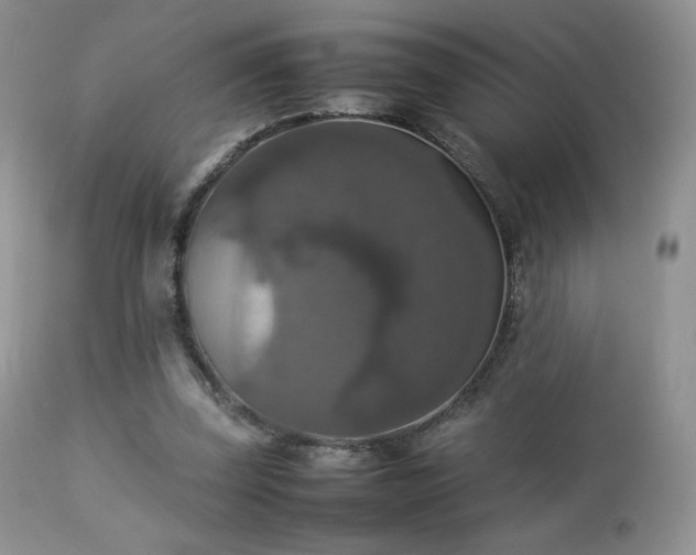 X0000112830347200908211222