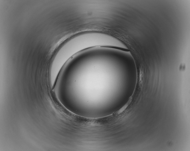 X0000112830348200908211222