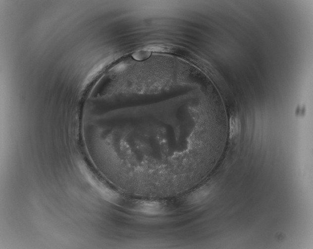 X0000112830349200908211222