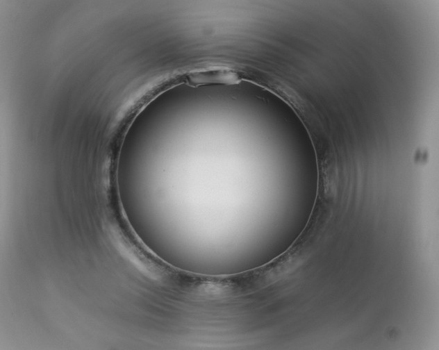 X0000112830350200908211222