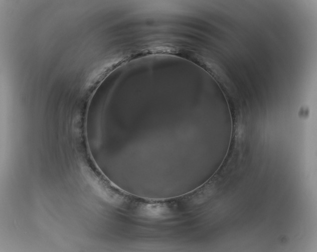 X0000112830353200908211222