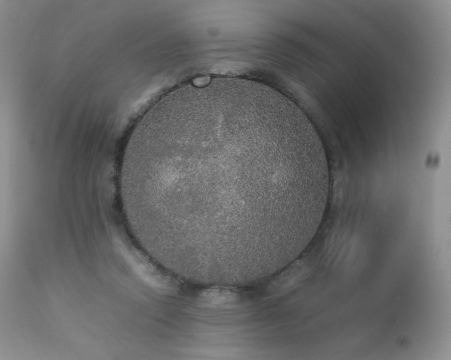 X0000112830354200908211222