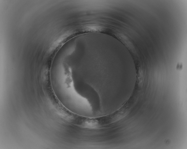 X0000112830355200908211222