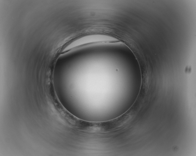 X0000112830356200908211222