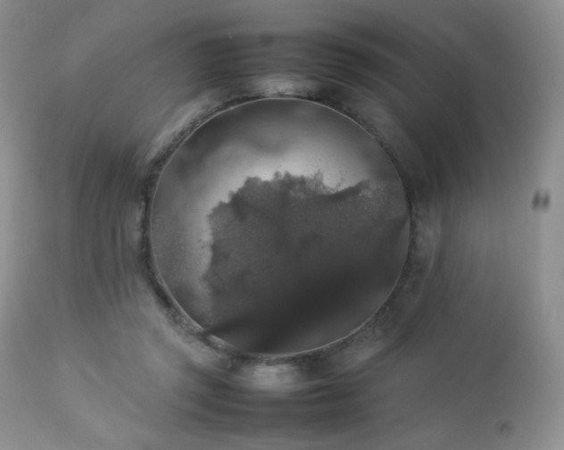 X0000112830357200908211222