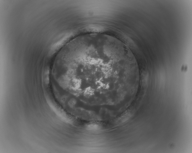 X0000112830358200908211222