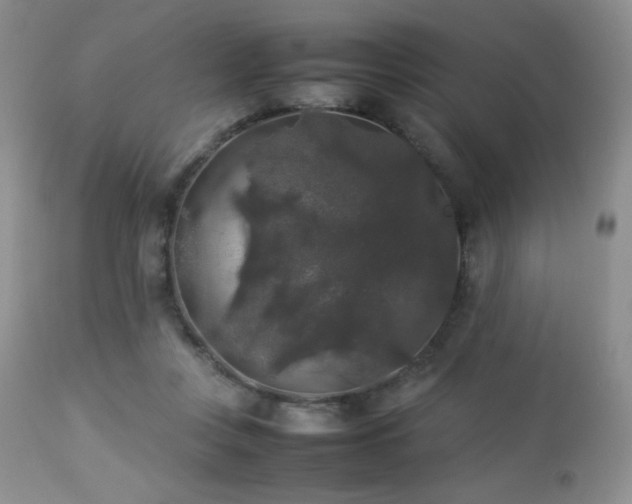 X0000112830359200908211222