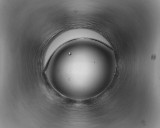 X0000112830360200908211222