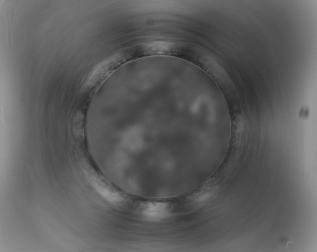 X0000112830361200908211222