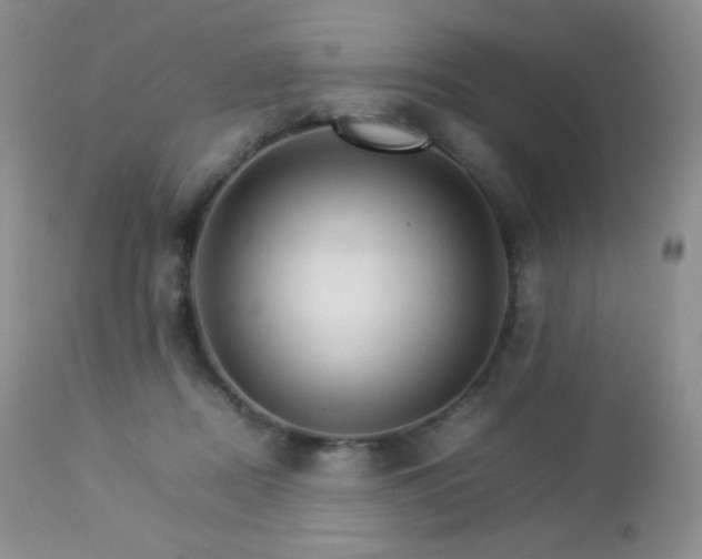 X0000112830362200908211222