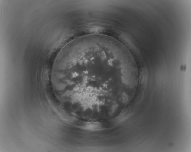 X0000112830363200908211222