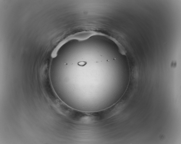 X0000112830364200908211222