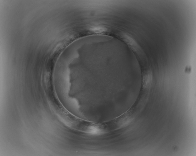 X0000112830365200908211222