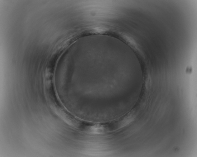 X0000112830366200908211222