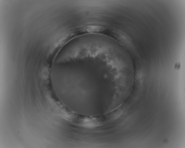 X0000112830367200908211222