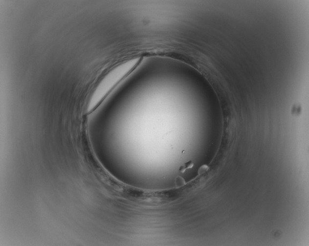 X0000112830368200908211222