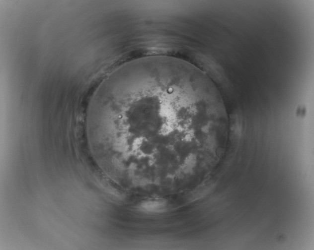 X0000112830369200908211222