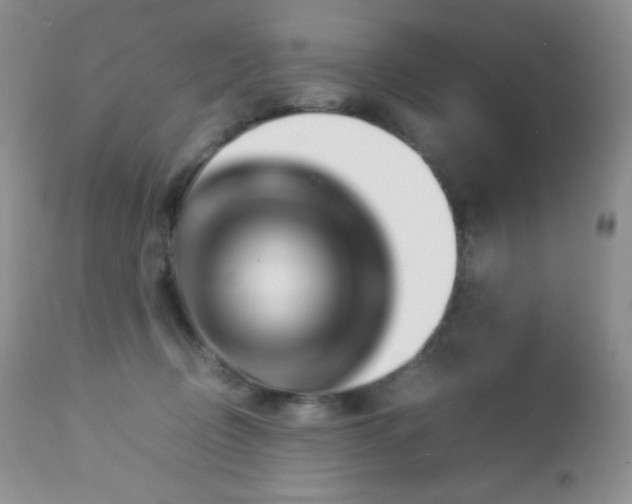 X0000112830370200908211222