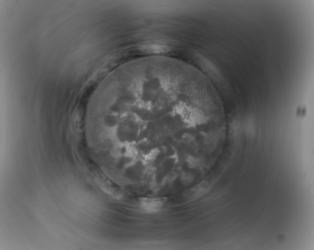 X0000112830373200908211222