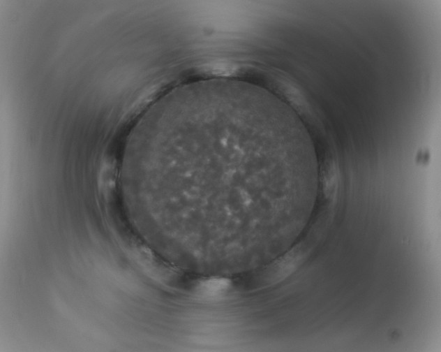 X0000112830374200908211222