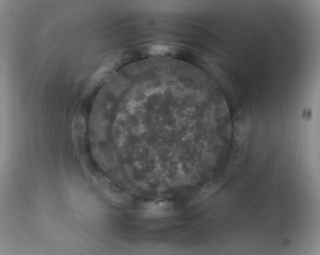 X0000112830375200908211222