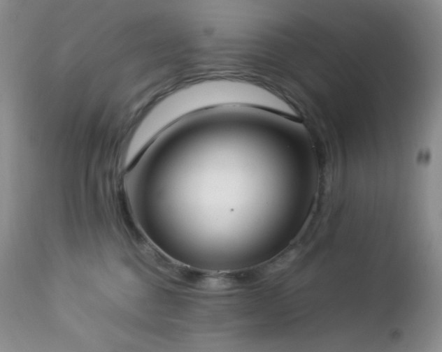 X0000112830376200908211222