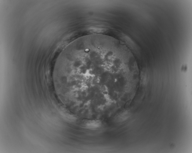 X0000112830377200908211222