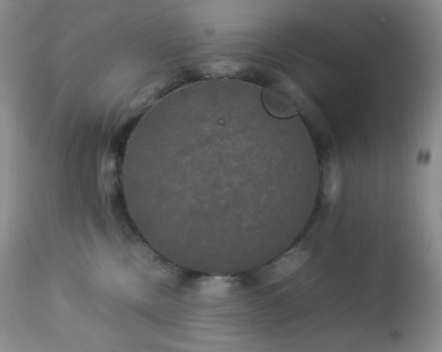 X0000112830378200908211222