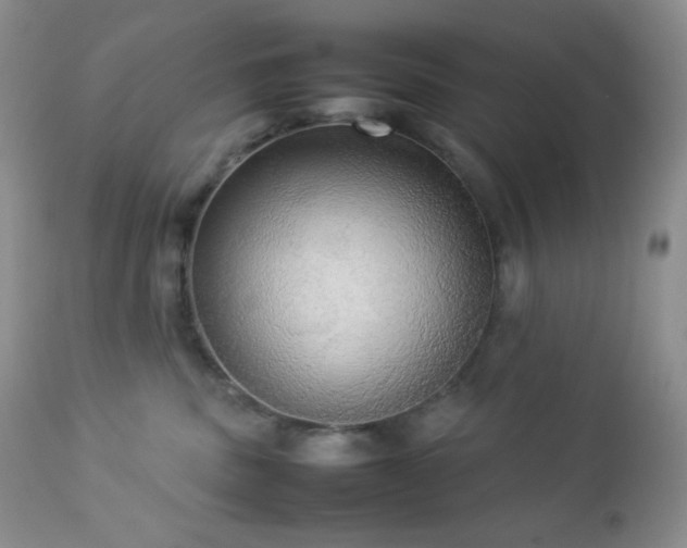 X0000112830379200908211222