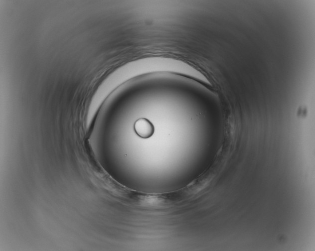 X0000112830380200908211222