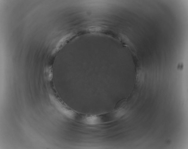 X0000112830383200908211222