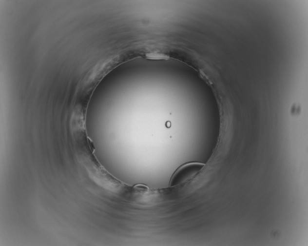 X0000112830384200908211222